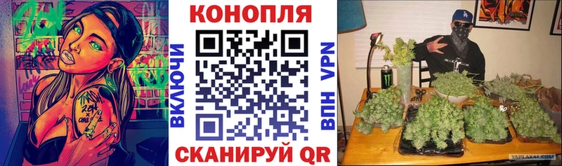 Конопля гибрид  как найти наркотики  Протвино 